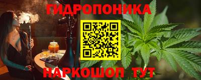 крисы Волжский