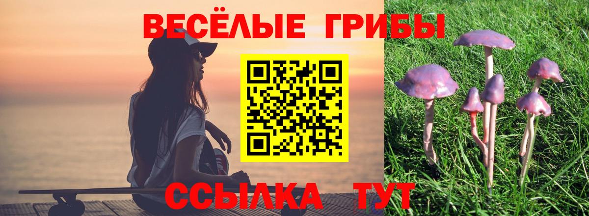 Псилоцибиновые грибы мицелий Баксан