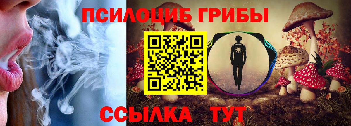 Галлюциногенные грибы мицелий  Псилоцибиновые грибы Magic Shrooms  закладка  Баксан  Вход с VPN 